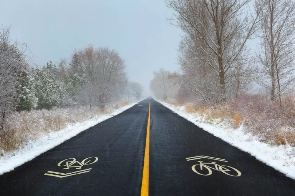Sharrow bike markings on black asphalt two-lane road with snowy trees